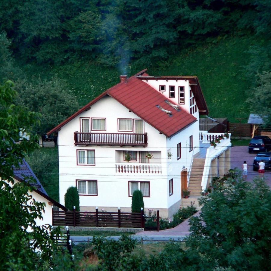 Pensiunea Ionela Moieciu de Jos Exterior foto